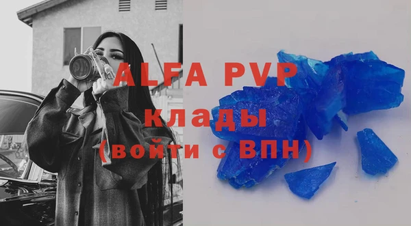 СК Покачи