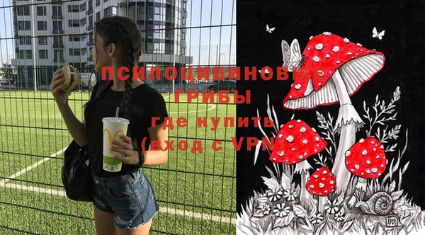 СК Покачи