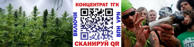 kraken   наркотики  Вольск  ТГК гашишное масло 