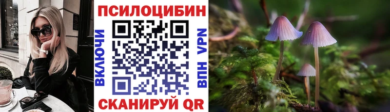 MEGA рабочий сайт  купить наркотик  Вольск  Галлюциногенные грибы прущие грибы 