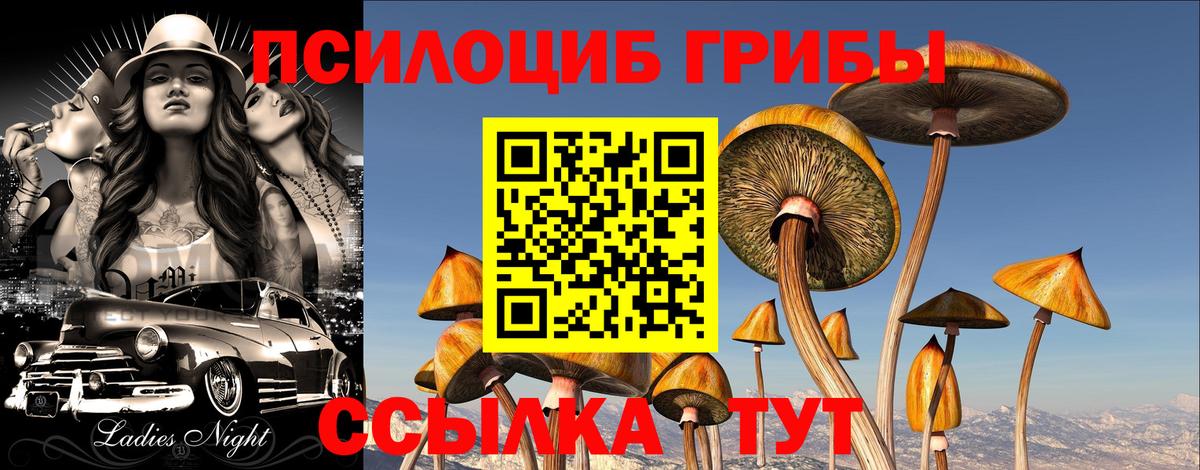 Галлюциногенные грибы GOLDEN TEACHER Вольск