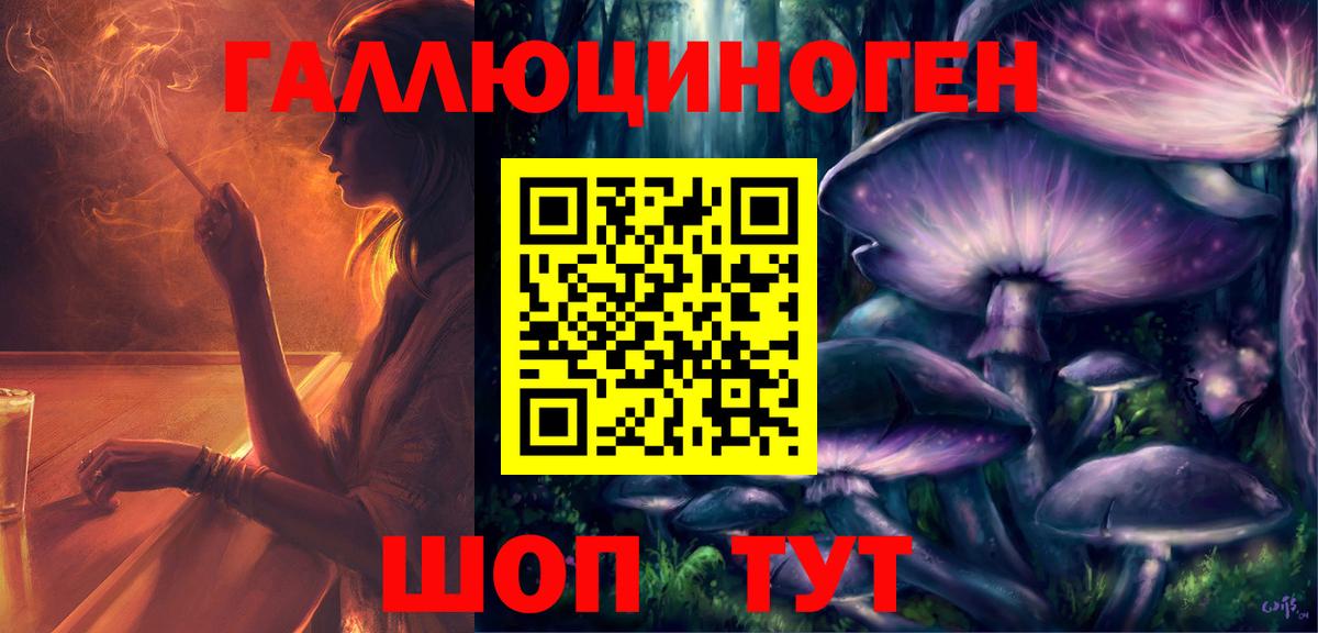Псилоцибиновые грибы прущие грибы Вольск