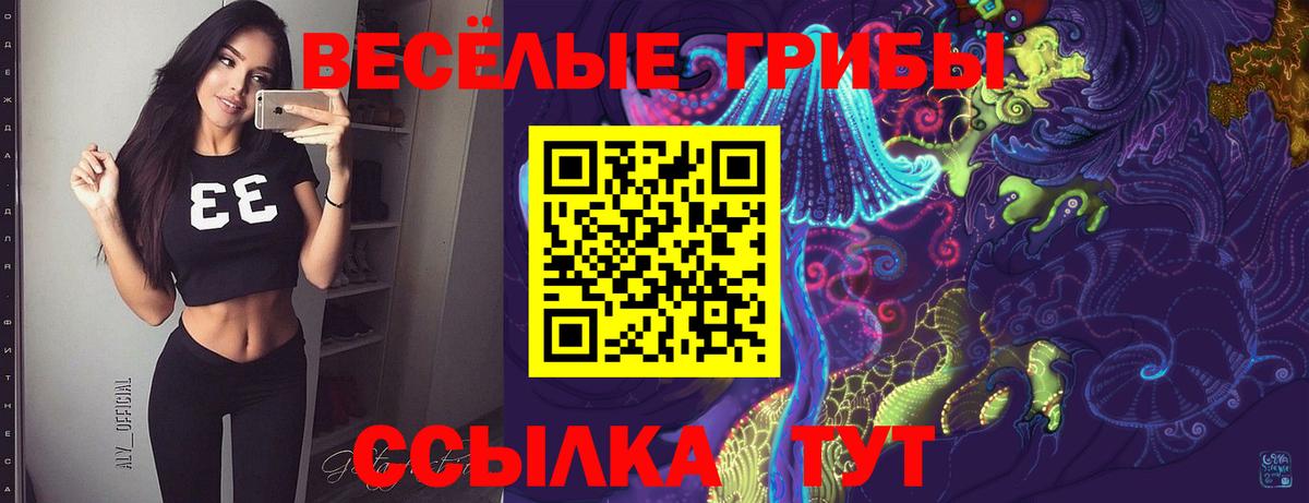 Псилоцибиновые грибы мицелий  Вход с VPN  Вольск 